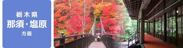 オススメ路線沿線情報（栃木県 那須・塩原）