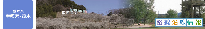 路線沿線情報（栃木県 宇都宮・茂木）