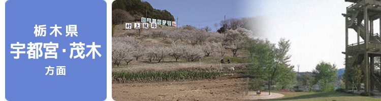 路線沿線情報（栃木県 宇都宮・茂木）