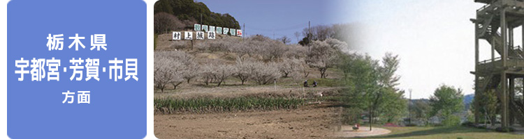 路線沿線情報（栃木県 宇都宮・芳賀・市貝）