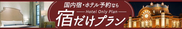 宿だけプラン